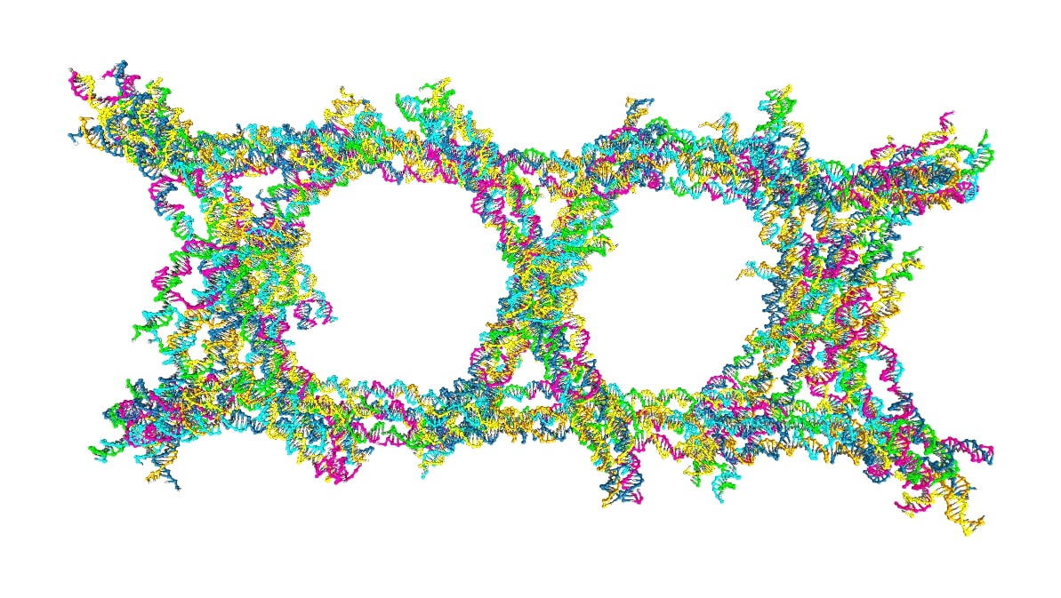 Picture of a DNA nanostructure as represented in the oxDNA model